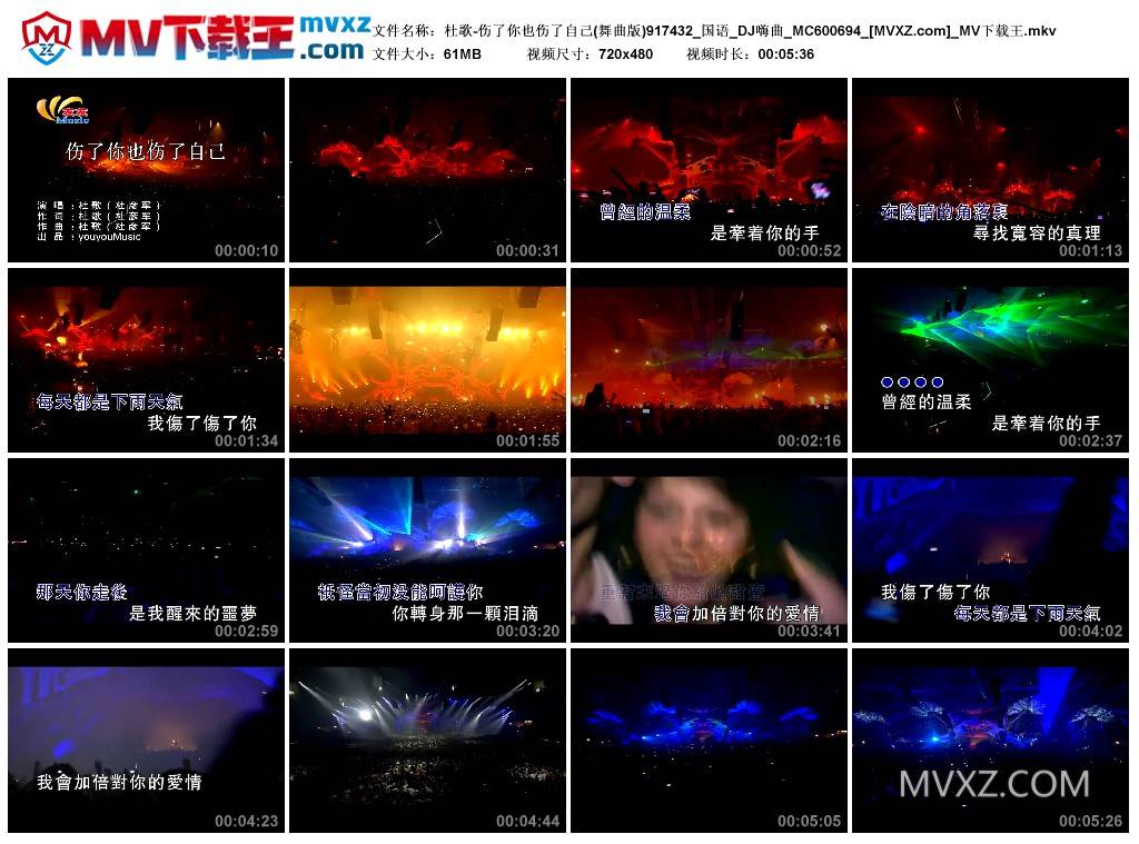 杜歌-伤了你也伤了自己(舞曲版)917432_国语_DJ嗨曲_MC600694